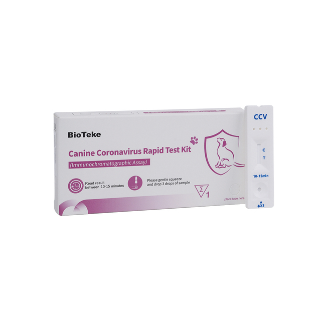 Coronavirus canin (CCV) Kit de testare rapidă (analiză imunochromatografică) ICA2301-1