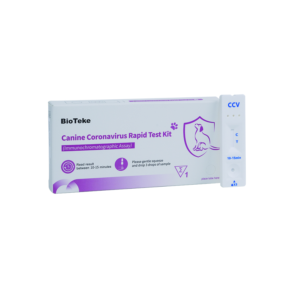 canină test canin coronavirus