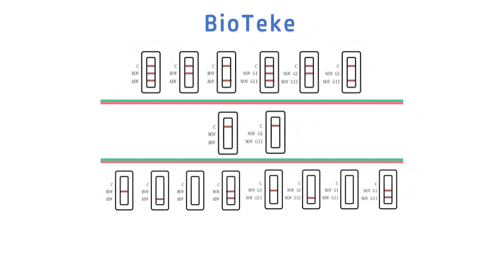 Rezultatele testelor de virus rota adeno noro