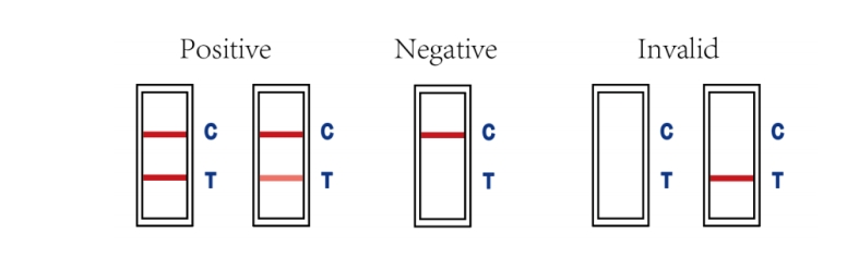 Interpretarea rezultatelor testelor