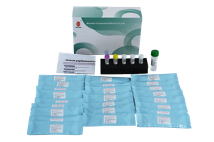 Kit de detectare a genotipării HPV papilomavirus uman (metoda PCR de fluorescență) 