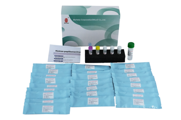 Kit de detectare a genotipării HPV papilomavirus uman (metoda PCR de fluorescență) 