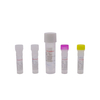 Kit de screening cu infecție cu transmitere sexuală (STI) (metoda PCR cu fluorescență)