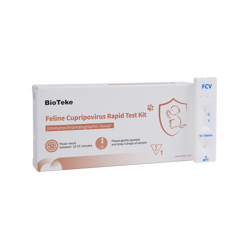 Cupripovirus felin (FCV) Kit de testare rapidă (test imunochromatografic) ICA2301-13