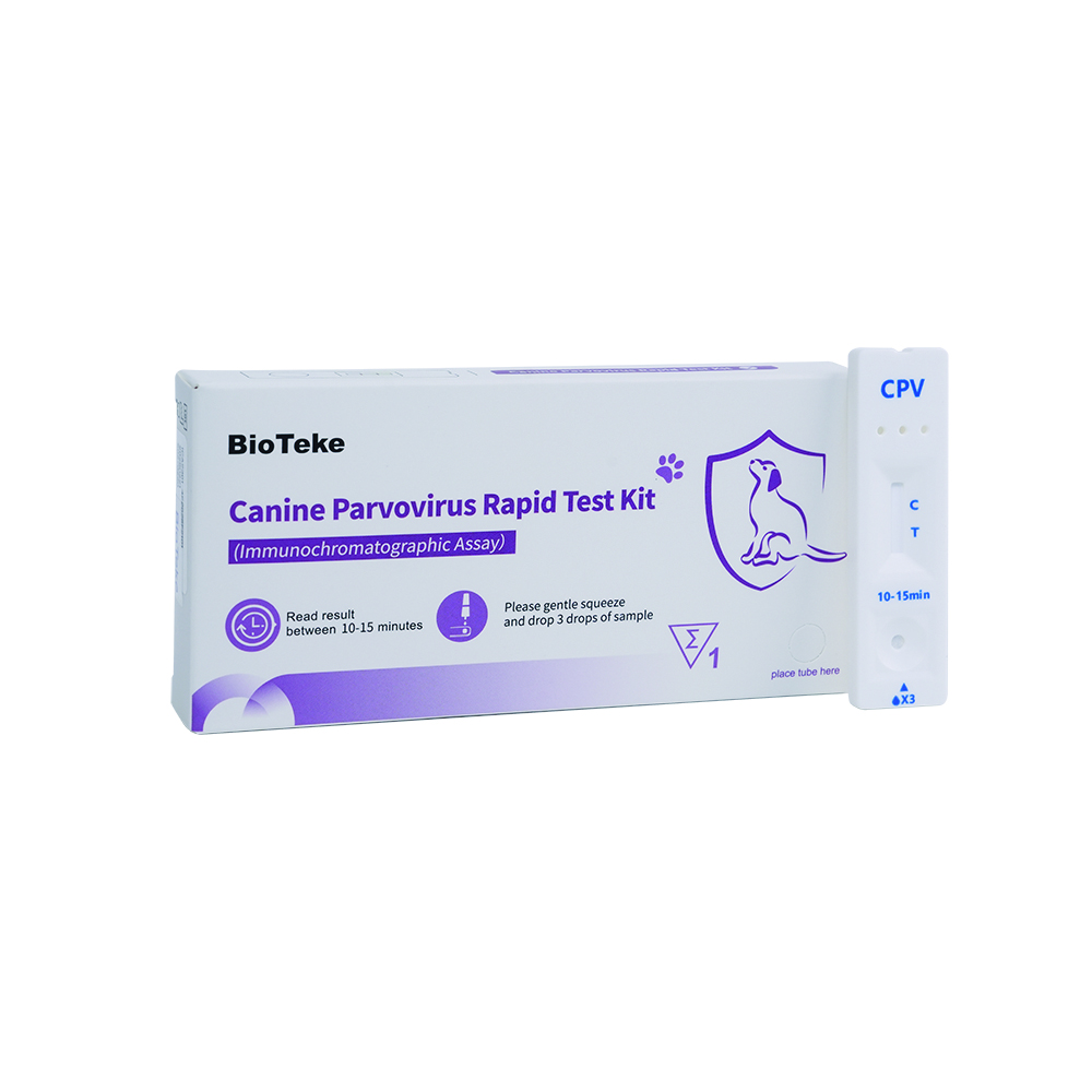 CPV Test rapid